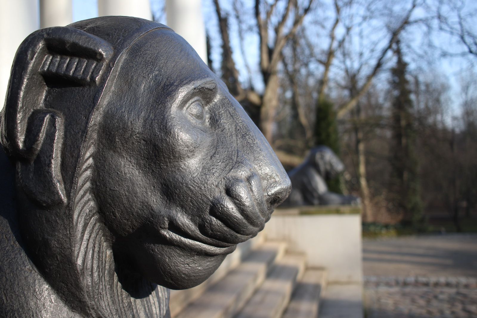 TEST: Canon EOS 200D – pomysł na maleństwo 16