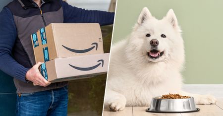 Zamiast iPhone'a dostał karmę dla psów. Zaskakujący finał zakupów na Amazonie