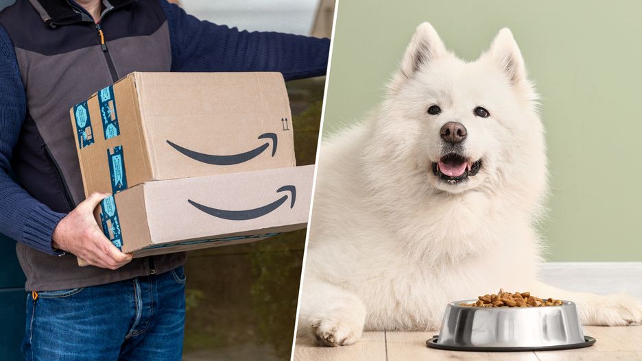 Na zdjęciu kurier z przesyłkami od Amazona i pies nad miską