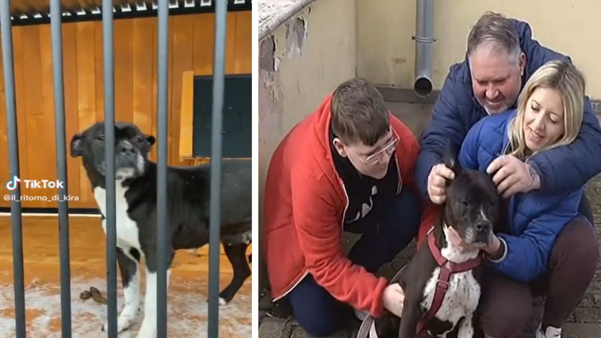 Kira wróciła do domu po siedmiu latach