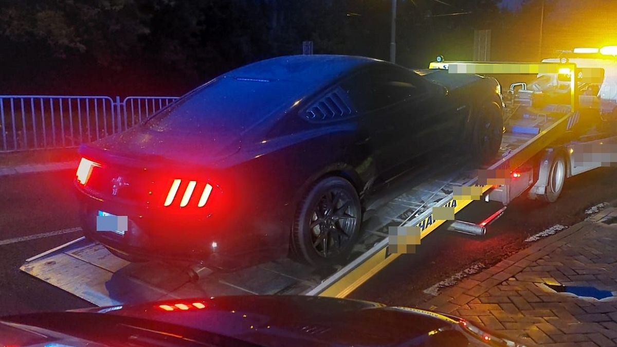 Mustang na lawecie