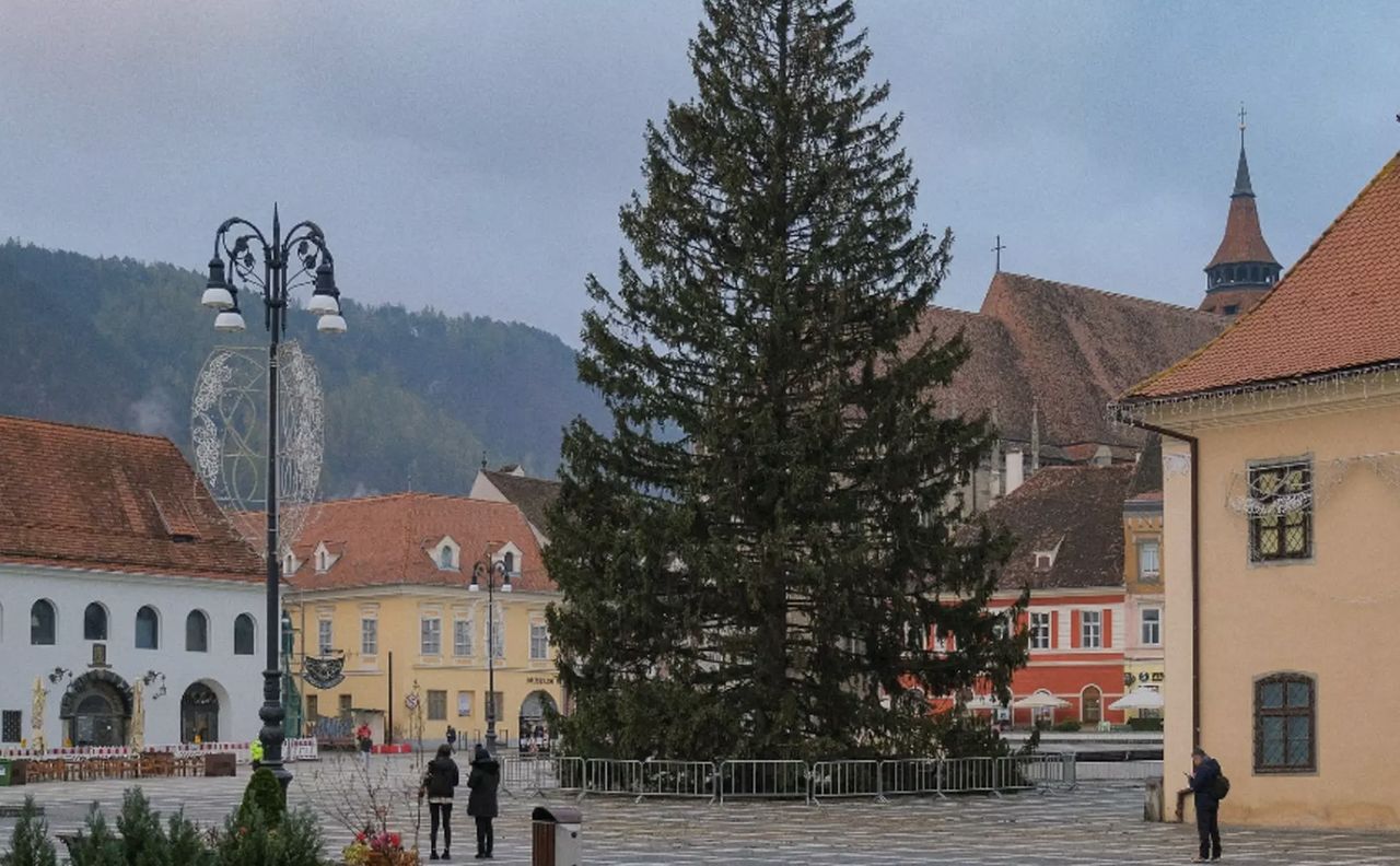 Brașov's towering Christmas tree toppled by strong winds