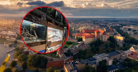 Afera w Krakowie. "Nielegalne zoo" pod lupą prokuratury