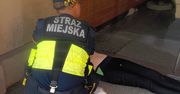 Warszawa: 47-latka leżała przy schodach. Zaskakujący finał interwencji