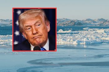 To naprawdę myślą Grenlandczycy o słowach Trumpa. Mieszkańcy zabrali głos