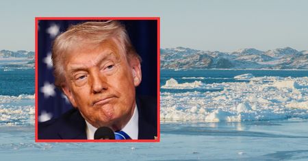 To naprawdę myślą Grenlandczycy o słowach Trumpa. Mieszkańcy zabrali głos