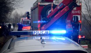 Opole. Wypadek na osiedlu AK. Winda spadła z 9. piętra