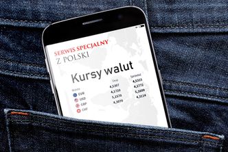 Wymieniaj waluty online