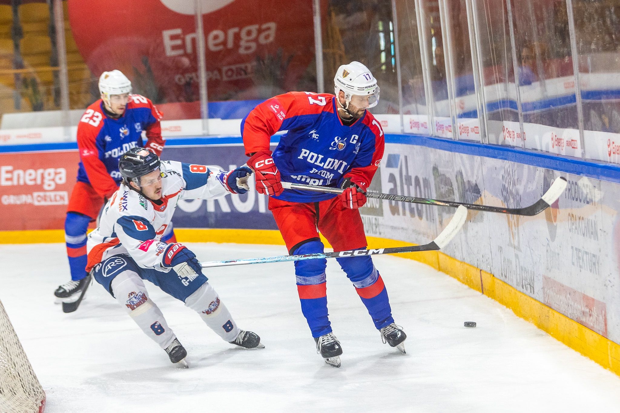 KH Energa Toruń - Polonia Bytom