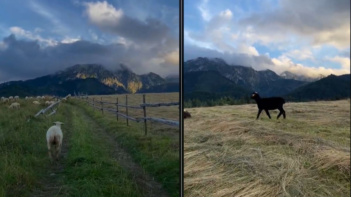 Piękne widoki z samego serca Tatr