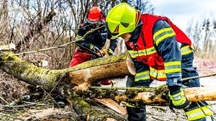 Blisko 80 interwencji strażaków we Włocławku i powiecie włocławskim. Powalone drzewa, zerwane linie energetyczne, przewrócone garaże