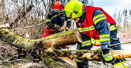 Blisko 80 interwencji strażaków we Włocławku i powiecie włocławskim. Powalone drzewa, zerwane linie energetyczne, przewrócone garaże