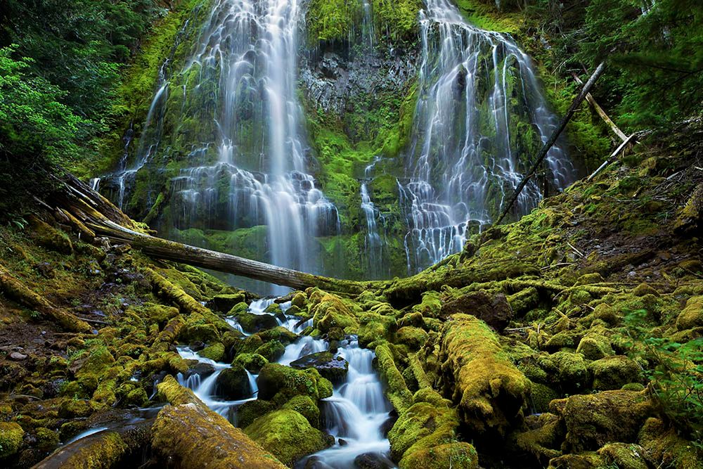 Piękna amerykańska przyroda na zdjęciach konkursu Wilderness Forever 2