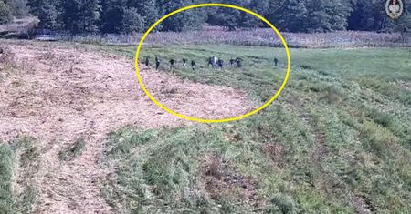 Tak przekraczają polską granicę. Służby pokazały nagranie