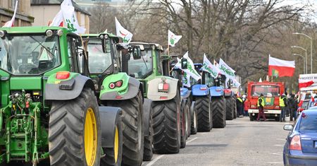 Izby Rolnicze ostrzegają przed upadkiem polskiego rolnictwa. Chodzi o zboże z Ukrainy