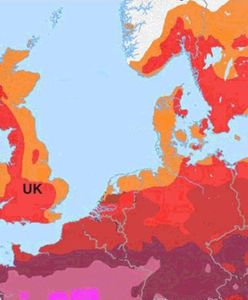 Amerykańska prognoza na lipiec. Co nas czeka?