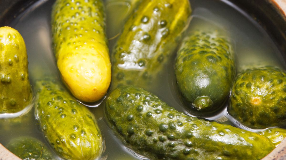 Ogórki kiszone mogą mieć mentną wodę