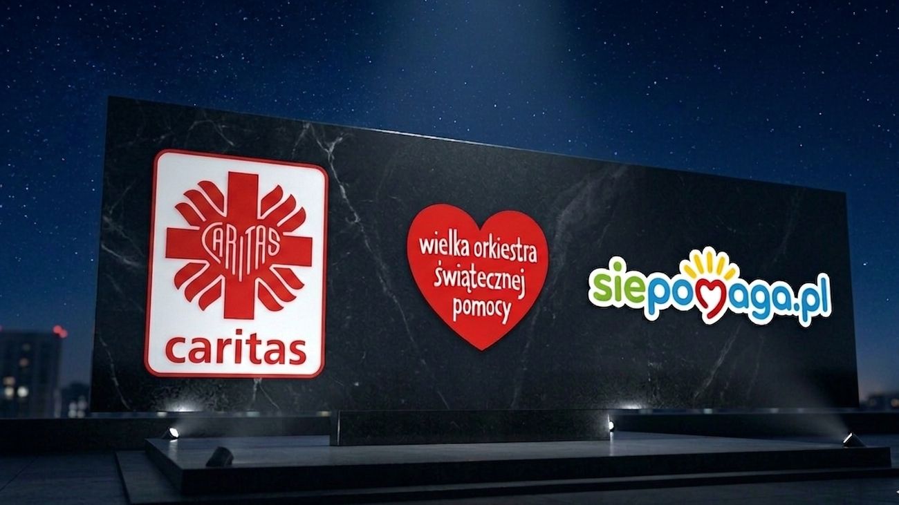 Siepomaga, Caritas i WOŚP. Oto najbardziej medialne organizacje pozarządowe
