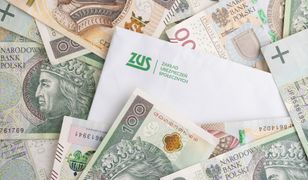"Fałszywe doniesienia". Jest komunikat ZUS ws. 500 plus