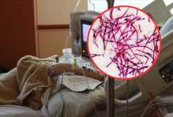 Legionella. Sposoby zarażenia, zapobieganie, leczenie. Coraz więcej zakażeń w Polsce