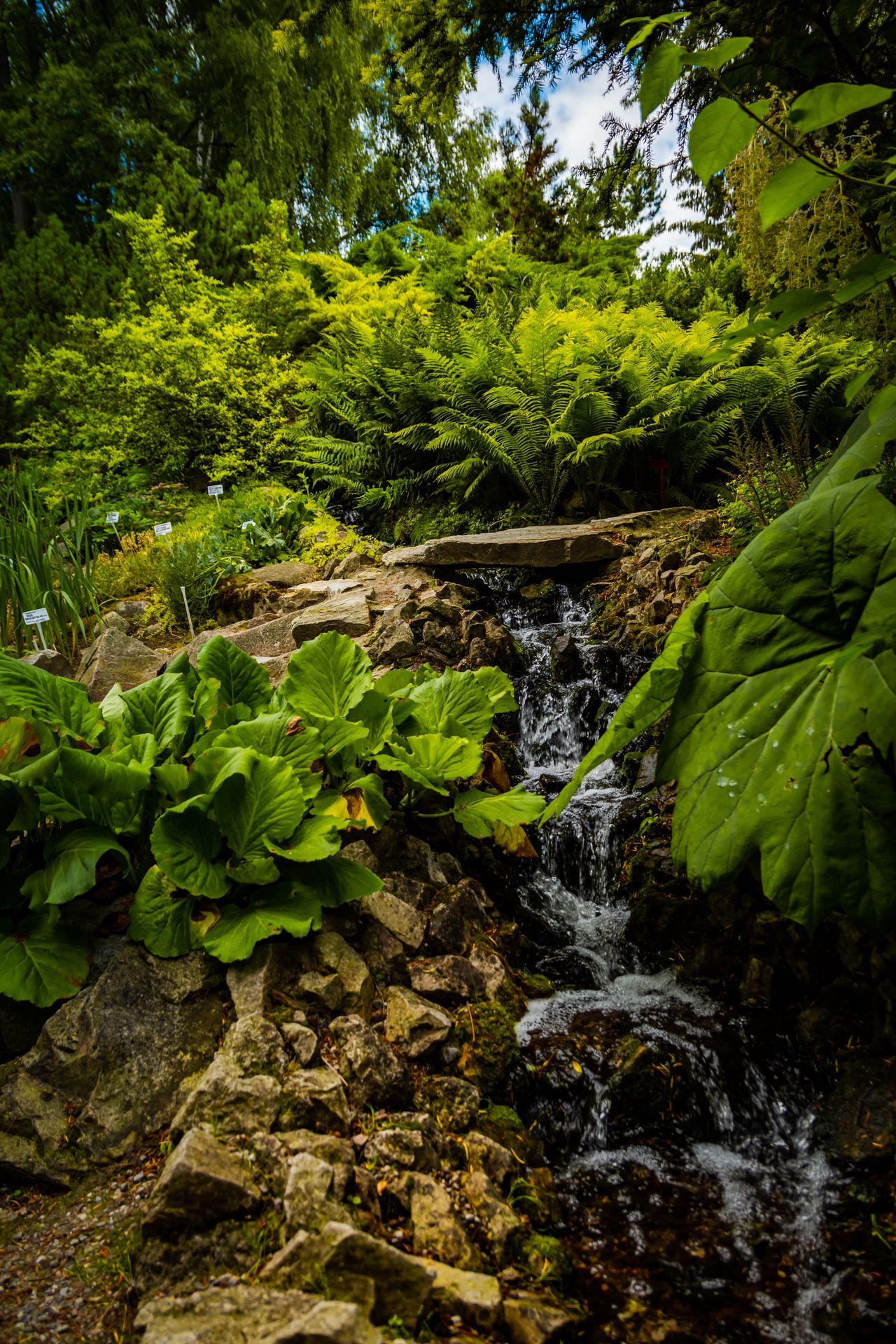 Ogród botaniczny w Lublinie 