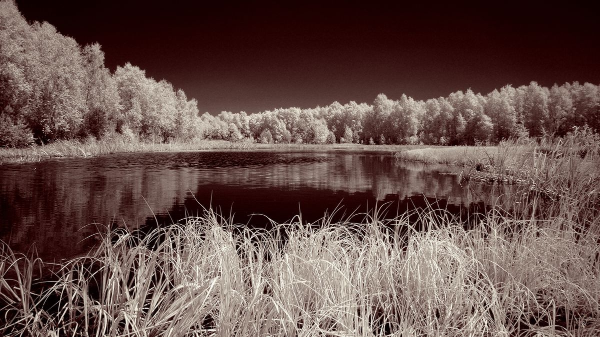 Fotografia w podczerwieni starym Nikonem D70s 1