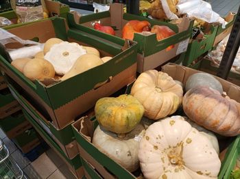 Łódź: Gdzie kupić dynie? Zastosowania, ceny i odmiany