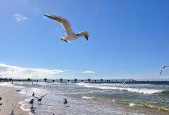 Pogoda. IMGW zapowiada: od niedzieli wrócą upały