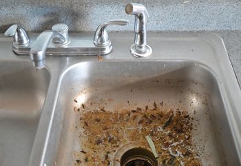 Masz zapchany zlew? Ten domowy sposób działa błyskawicznie