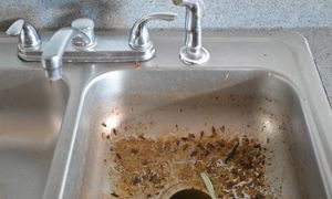 Masz zapchany zlew? Ten domowy sposób działa błyskawicznie