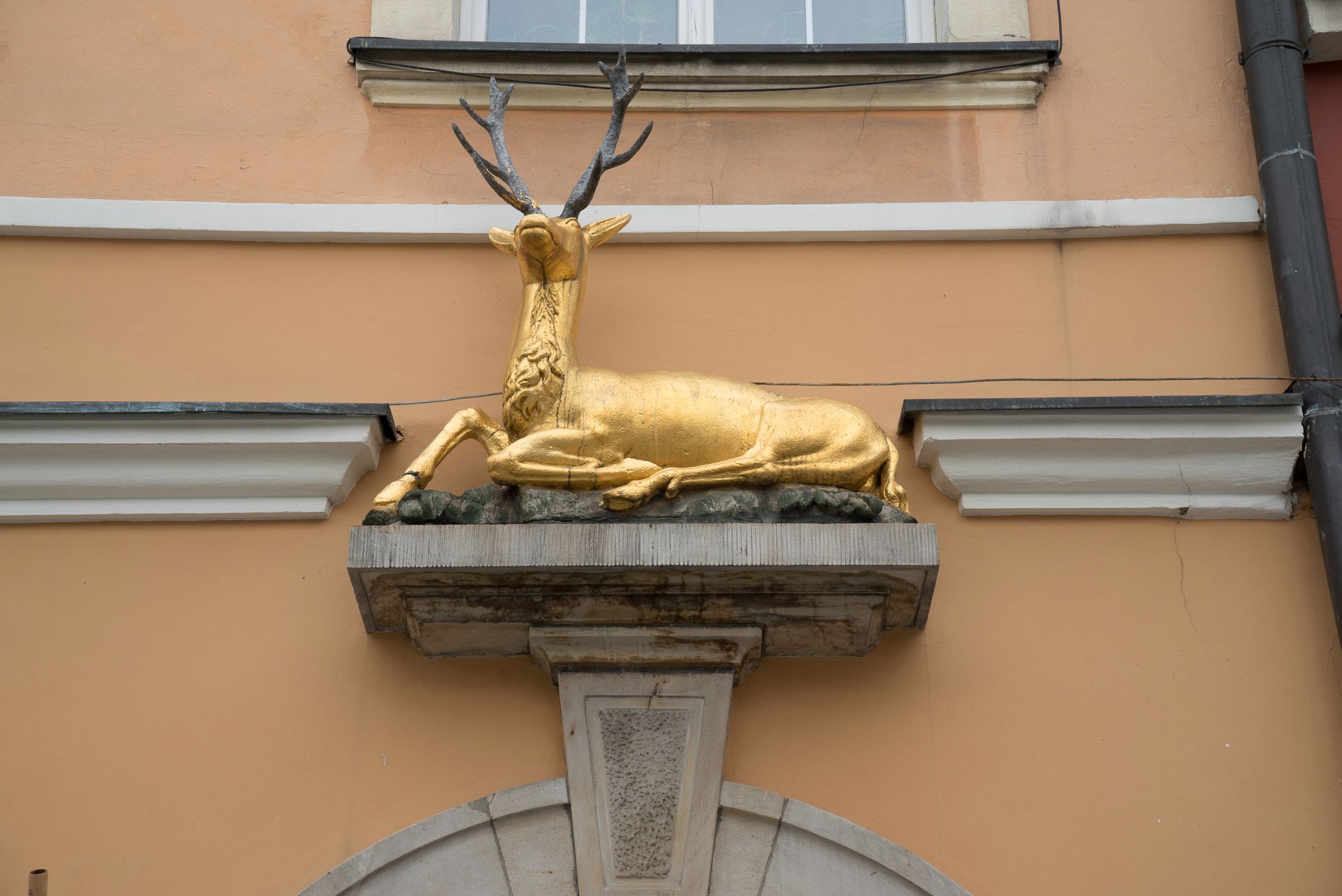 Sony A7S - postrach ciemności i mistrz kinematografii [test] 52