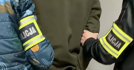 Zastrzelił sąsiadce psa z wiatrówki. 52-latek z gminy Łęczyce trafił do prokuratury