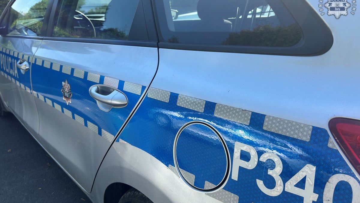 policja