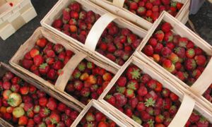 Zaczęło się. "Polskie" truskawki na bazarach