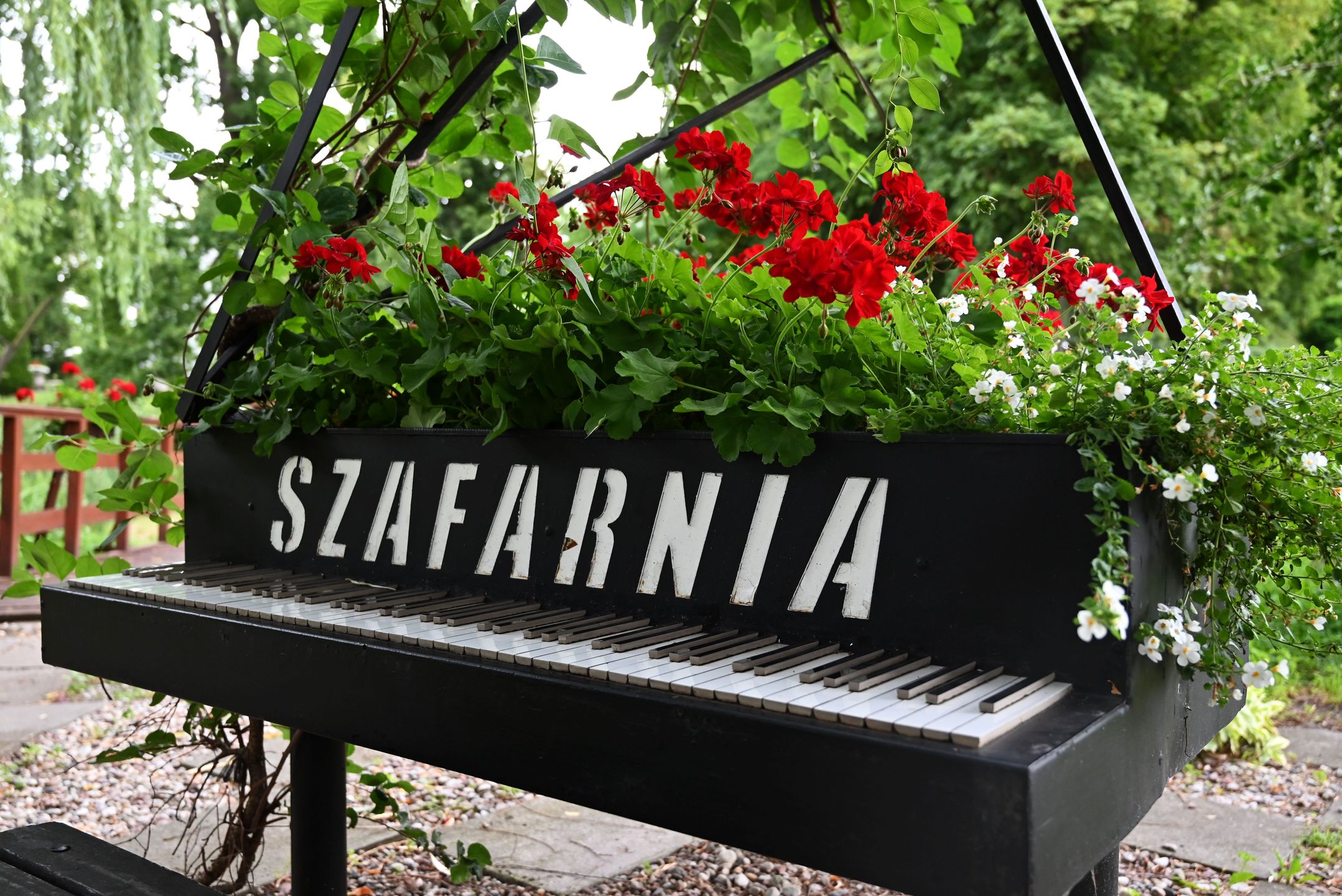 Na szafarskiej scenie wystąpili młodzi, utalentowani pianiści