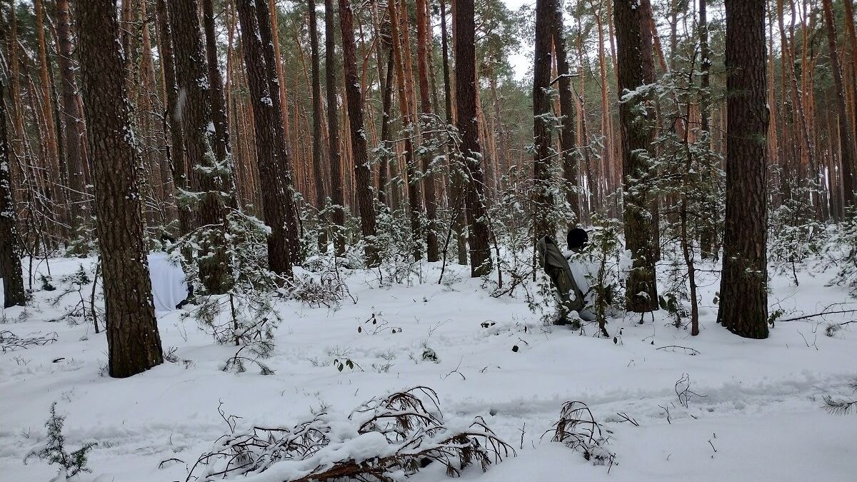 las, śnieg, strzelec, kamuflarz