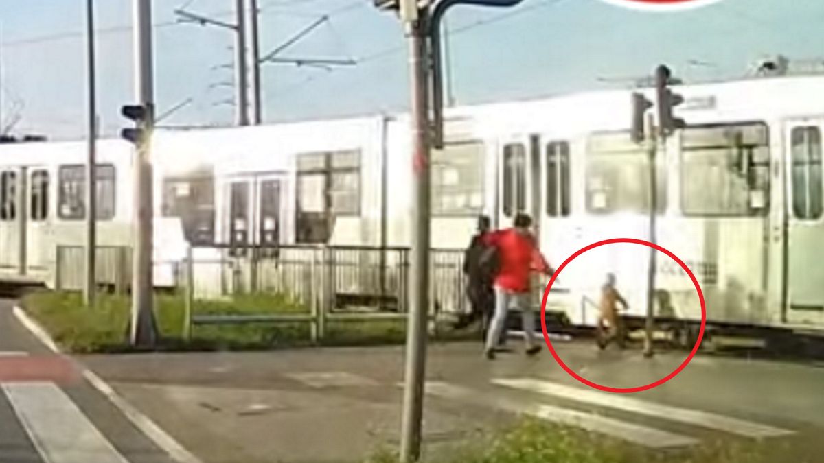 Maluszek na rowerku o mało nie wjeżdża pod tramwaj. 