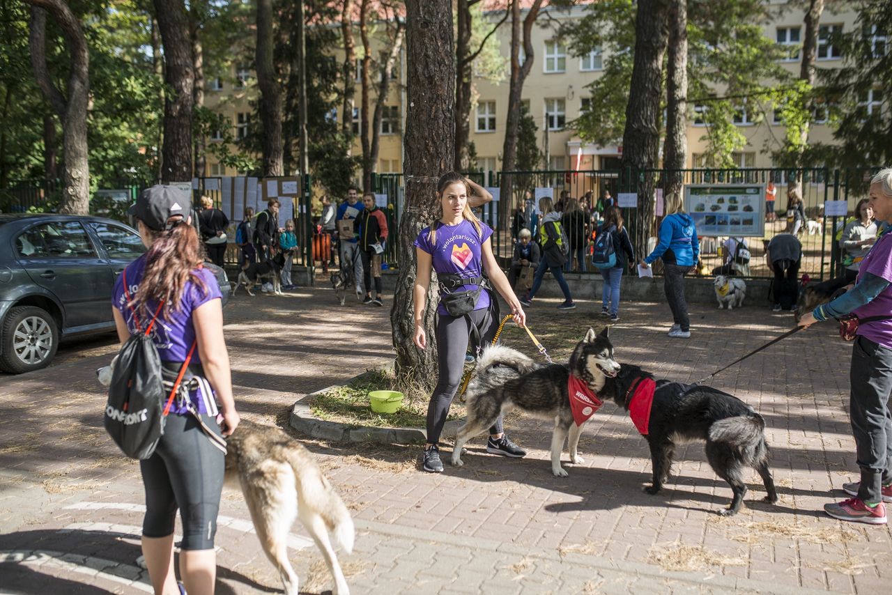 fot. "Zabierz PIESia do Międzylesia"