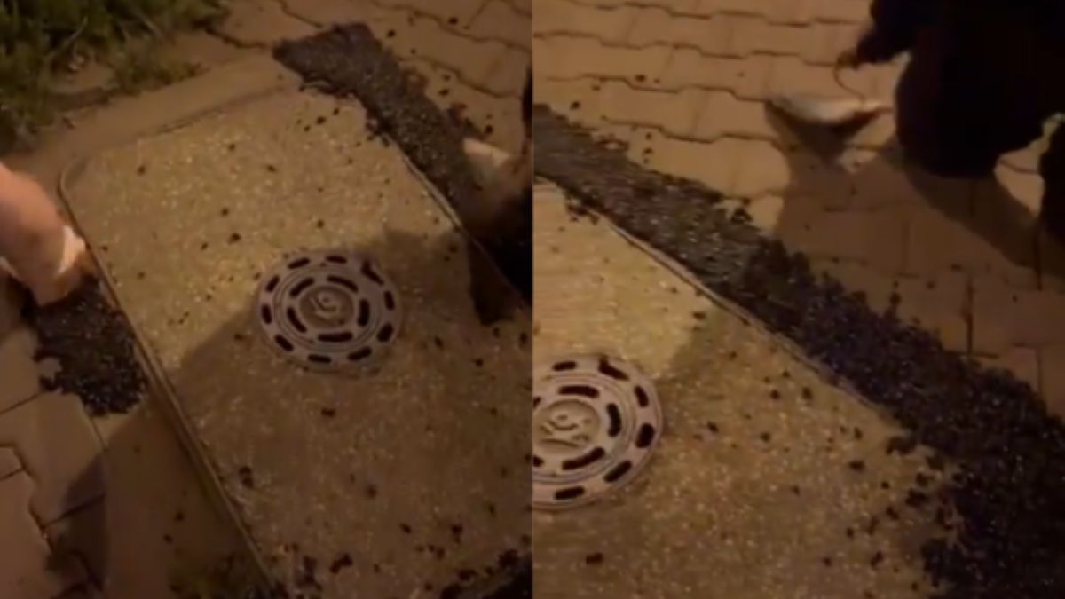 Sami naprawiają drogi rowerowe w Krakowie. Robią to pod osłoną nocy. 