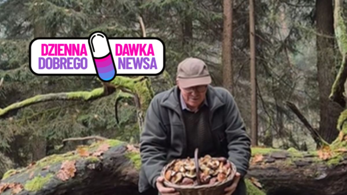 Grzybobranie w listopadzie? Wyniósł z lasu pełen koszyk