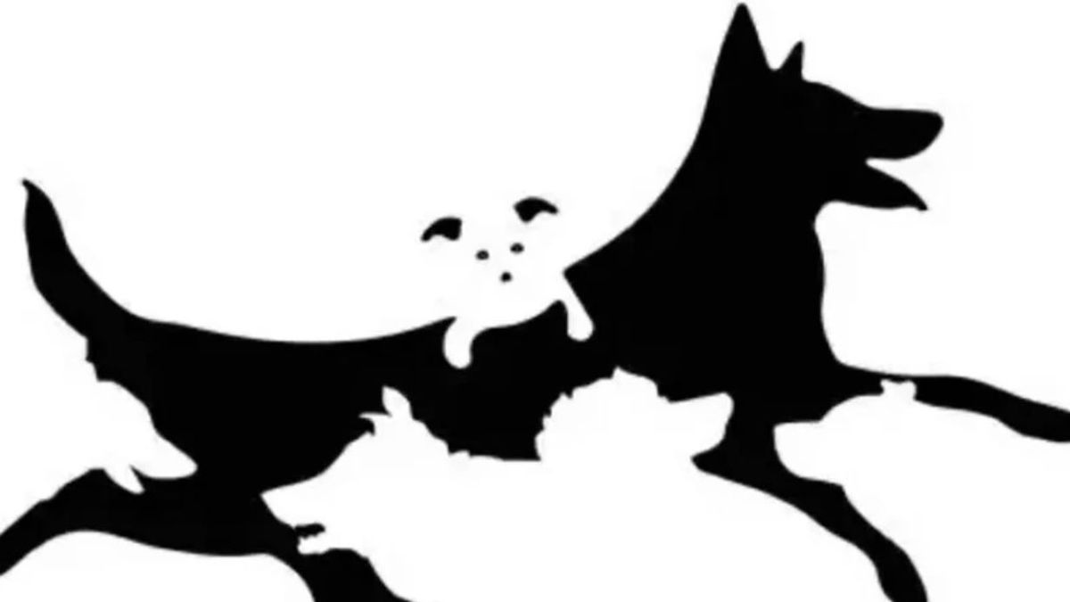 Sprawdź swój wiek psychologiczny 