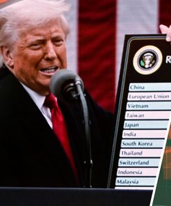 Wojna celna: Donald Trump vs. reszta świata. Co warto wiedzieć?