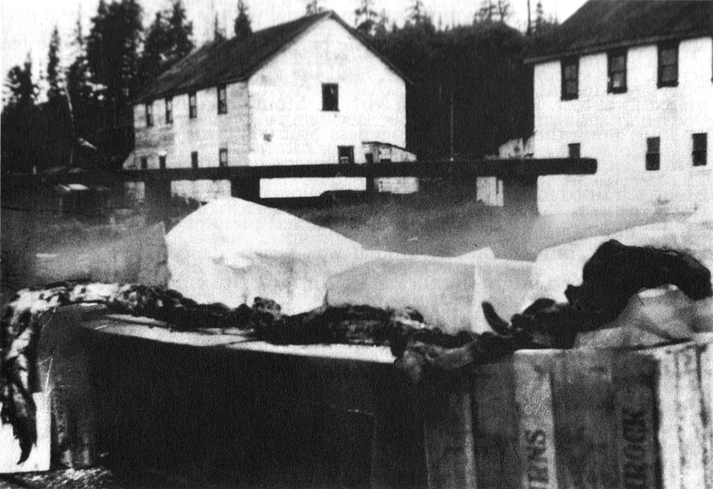 Nowojorski świniopies, Trunko, Caddy i inne potwory – prozaiczne historie, które działają na wyobraźnię 6