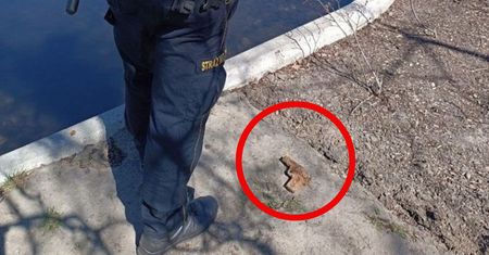 Niezwykłe odkrycie na Polu Mokotowskim w Warszawie. Wezwano policję