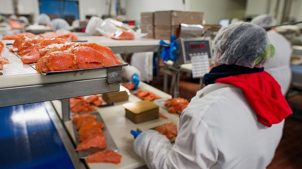 Operations Inside The Acme Smoked Fish Corp. Facility
Employees measure out sliced smoked salmon for packaging at the Acme Smoked Fish Corp. facility in the Brooklyn borough of New York, U.S., on Monday, Dec. 16, 2013. Acme Smoked Fish Corp. offers an array of smoked fish which includes cold smoked salmon in various flavors, kippered salmon, smoked whitefish, smoked whiting, smoked trout, smoked mackerel, smoked tuna, smoked sturgeon, smoked chubs, smoked ciscoes, smoked bluefish, and more. Photographer: Ron Antonelli/Bloomberg via Getty Images
Bloomberg
AGRICULTURE; AGRIBUSINESS, AMERICA; AMERICAS; NORTH AMERIC, CONSUMER; CONSUMING; CONSUMPTIO, FISH; FISHING; AQUACULTURE, FOOD INDUSTRY, U.S.A; US; USA; NORTH; NORTHEAS