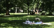 Upały w Krakowie. Mieszkańcy szukali ochłody w cieniu drzew. Jutro jeszcze cieplej, ale z burzami