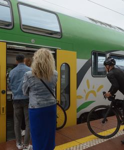 Wraca pociąg na hitowej trasie. Oto ceny biletów