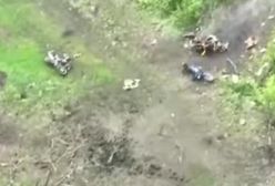 Rosja zmienia taktykę? Na froncie pojawią się motocykle