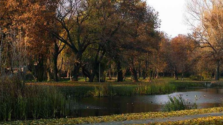 Radom. W samym sercu pięknego zabytkowego parku, zwanego Starym Ogrodem, leżały zwłoki czterdziestoletniego mężczyzny. Rowerzysta, który znalazł ciało, myślał, że człowiek leżący na trawniku śpi