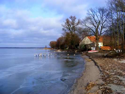 Obraz